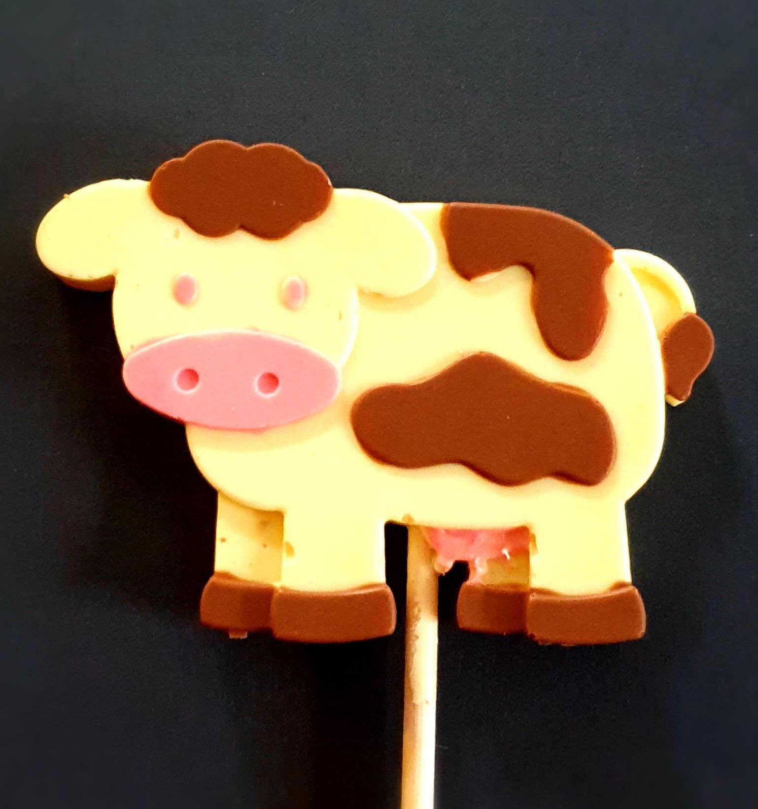 Cwtsh Chocolate - Wholesale Lollipop - Dotty cow chocolate lolly6