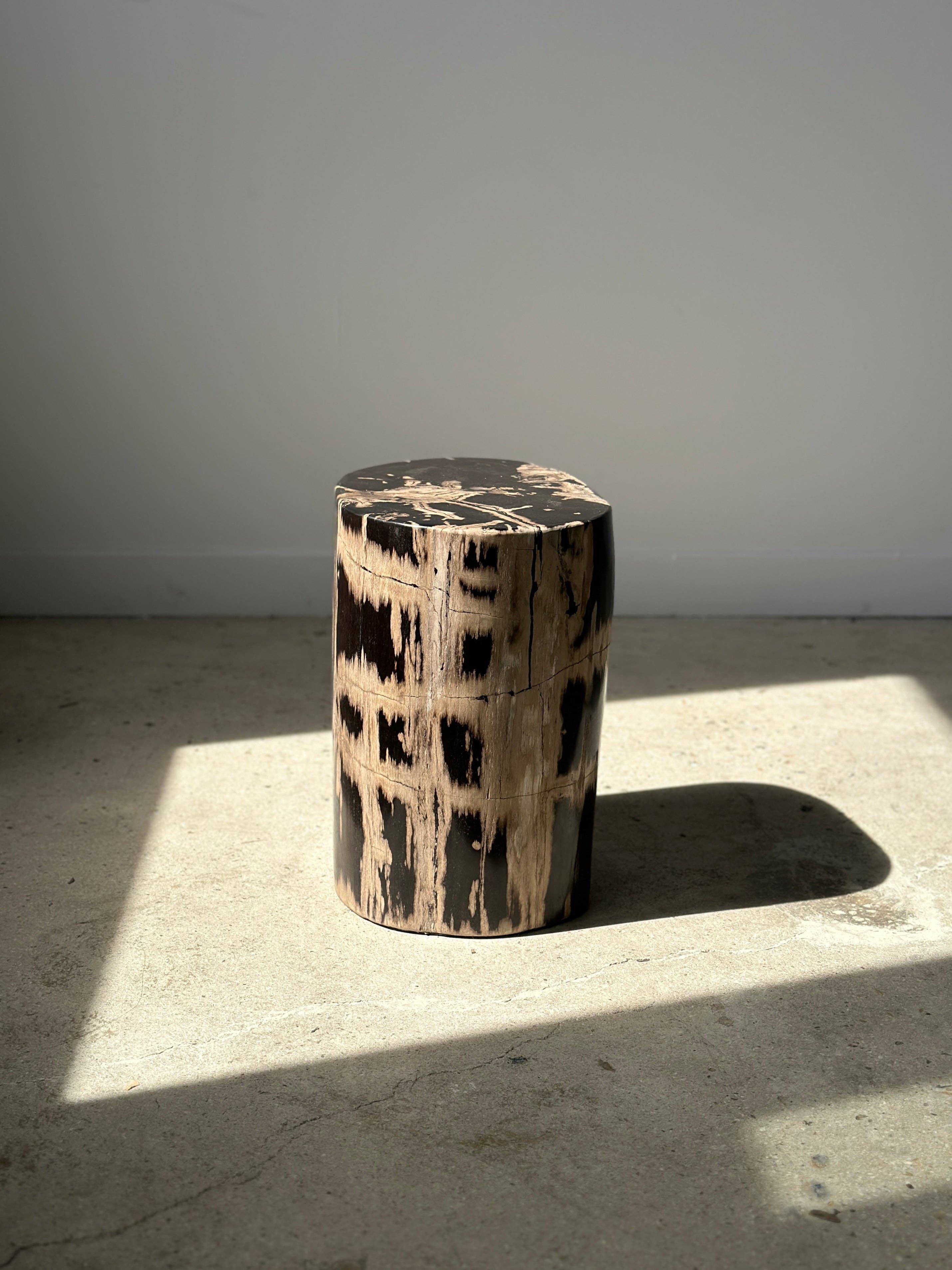 Office Objets - Vente Tables d'appoint - Table d'appoint en bois pétrifié34