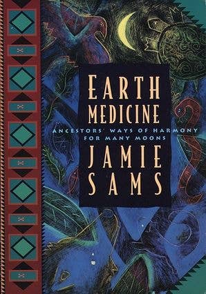 HarperCollins - Wholesale Body, Mind & Spirit Book - Earth Medicine : Jamie Sams