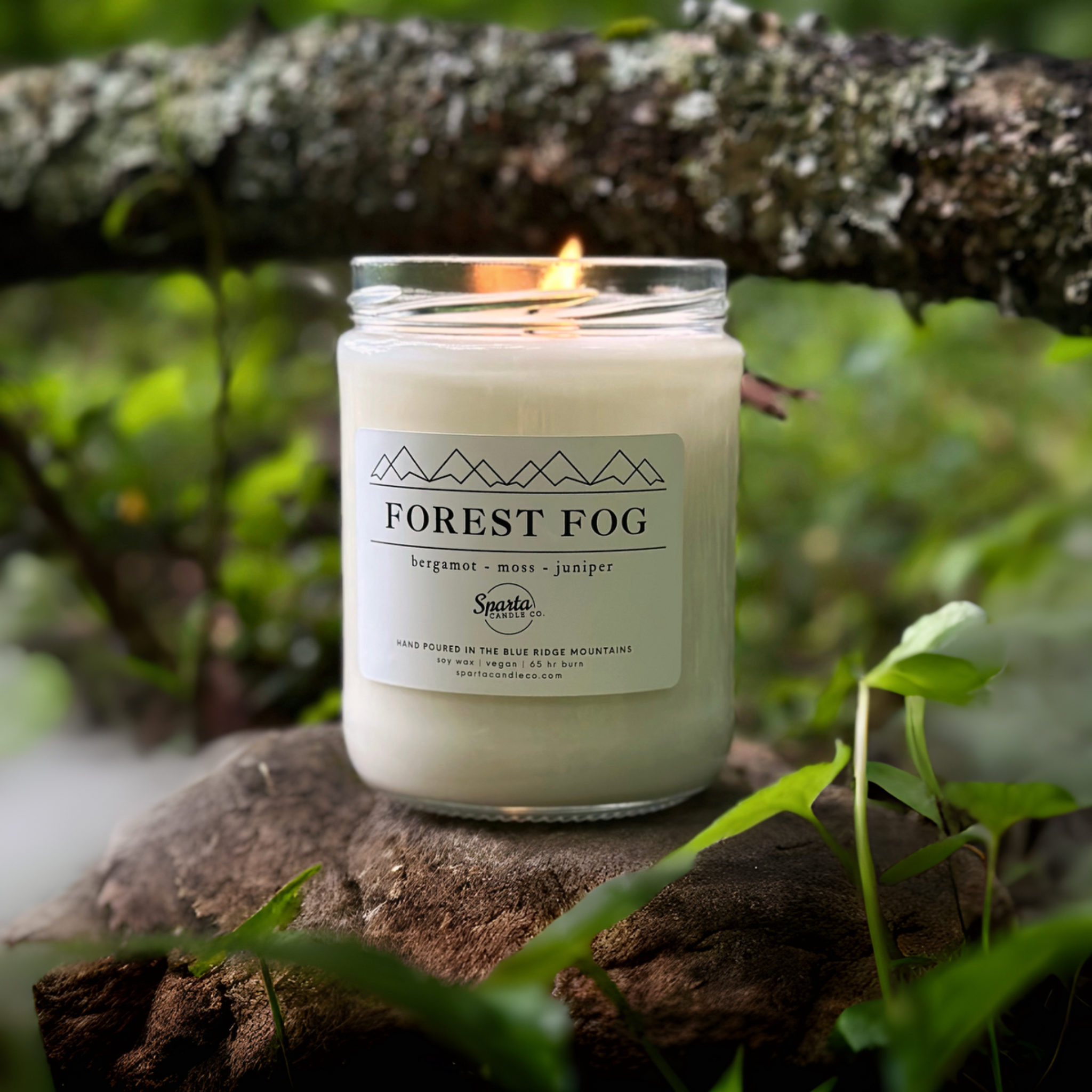 Sparta Candle Co. - Wholesale Jar/Filled Candle - FOREST FOG CANDLE0