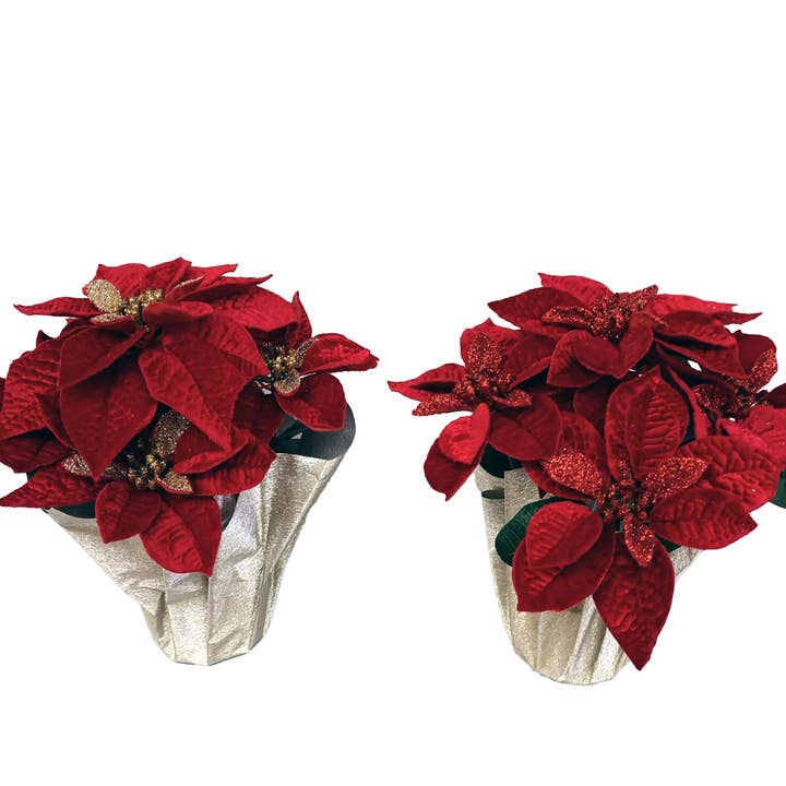 13,75 POLLICI (A) Velluto Deluxe Oro Glitter per la vendita all'ingrosso da parte di Country Silk