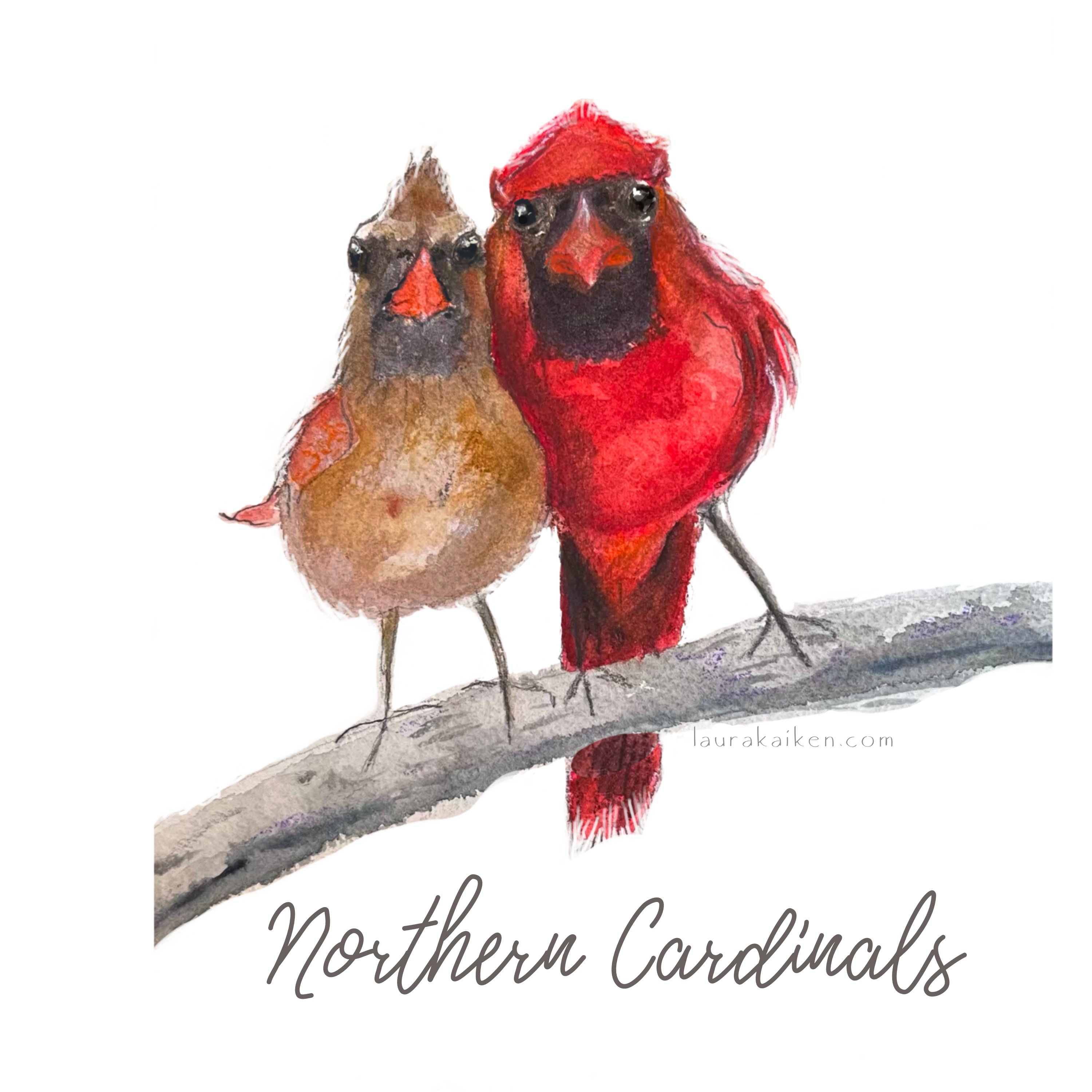 Laura K Aiken Studio - Wholesale Tea Towel - Northern Cardinal Red Bird Tea Towel2