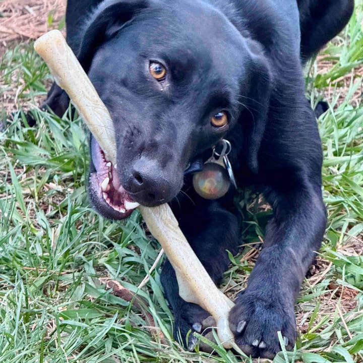 Rover Pet Products - Wholesale Pet chew toy – Dog - Nylon Chew Stick1