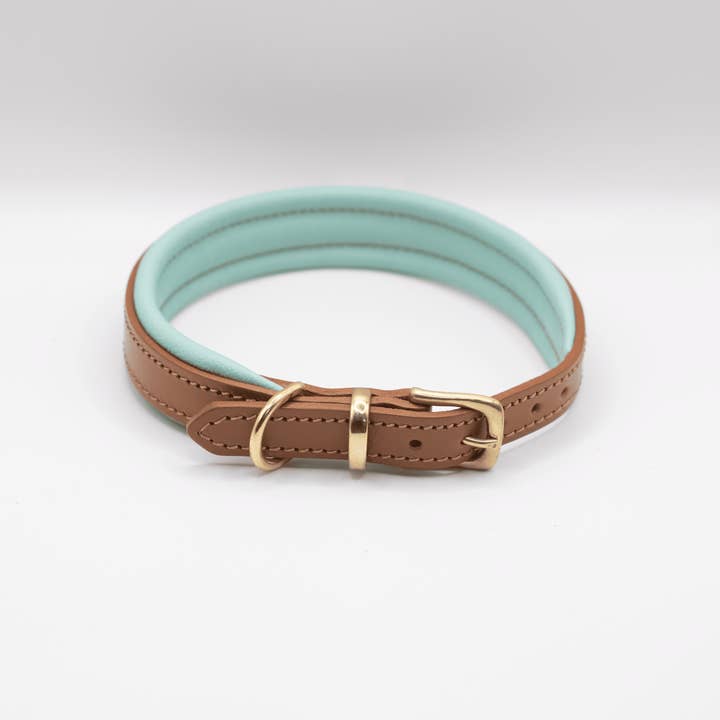Dogs and Horses – wholesale Pet collar – Dog – Padded Leather Dog Collar Tan and Aqua