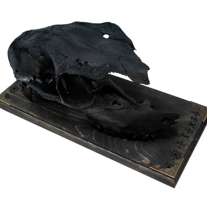blackened elk skull & 9 Helms wall hanger for wholesale by Oreamnos Oddities