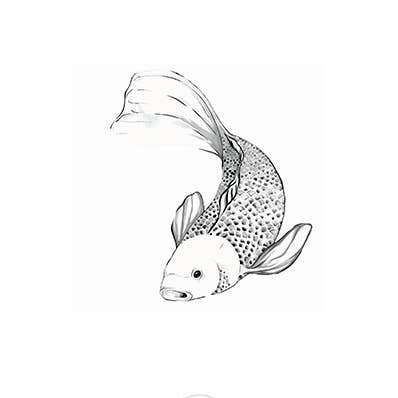 Sioou - Wholesale Temporary Tattoo - Carp