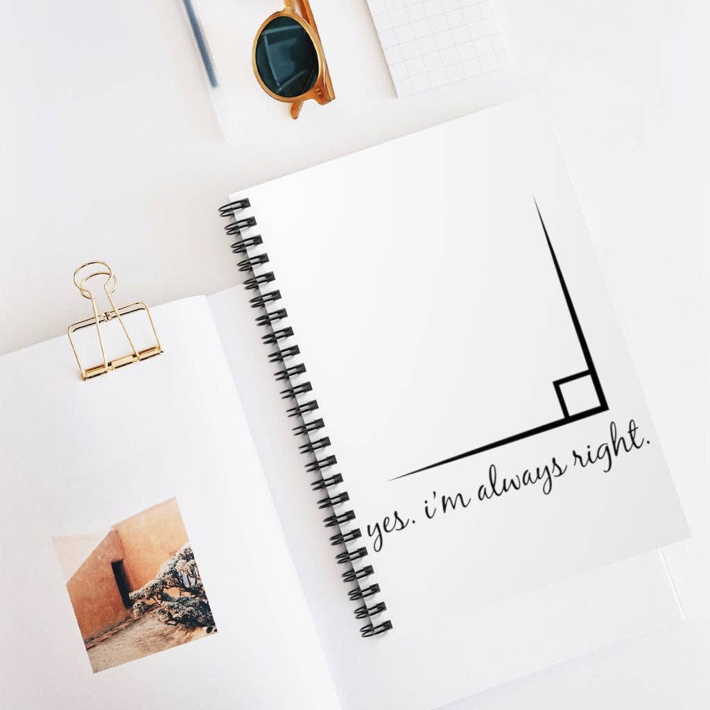 Teegarb LLC - Wholesale Notebook - Spiral Notebook  Math Teacher Accountant Accounting Gift Funny I'm Always Right Pun Gag Joke Graphic Men Women4