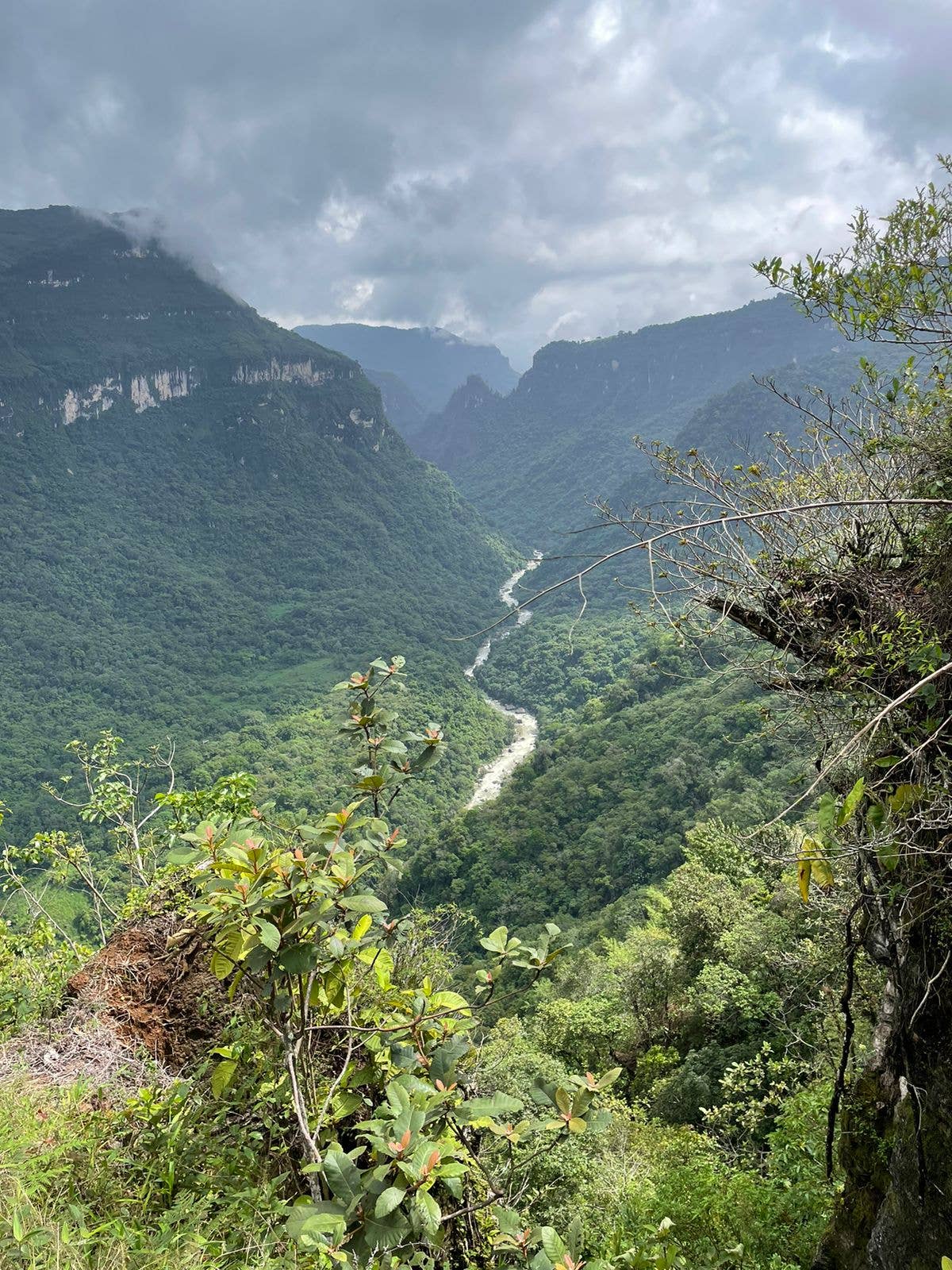 East One Coffee Roasters - Wholesale Coffee Beans - Miramar Especial1