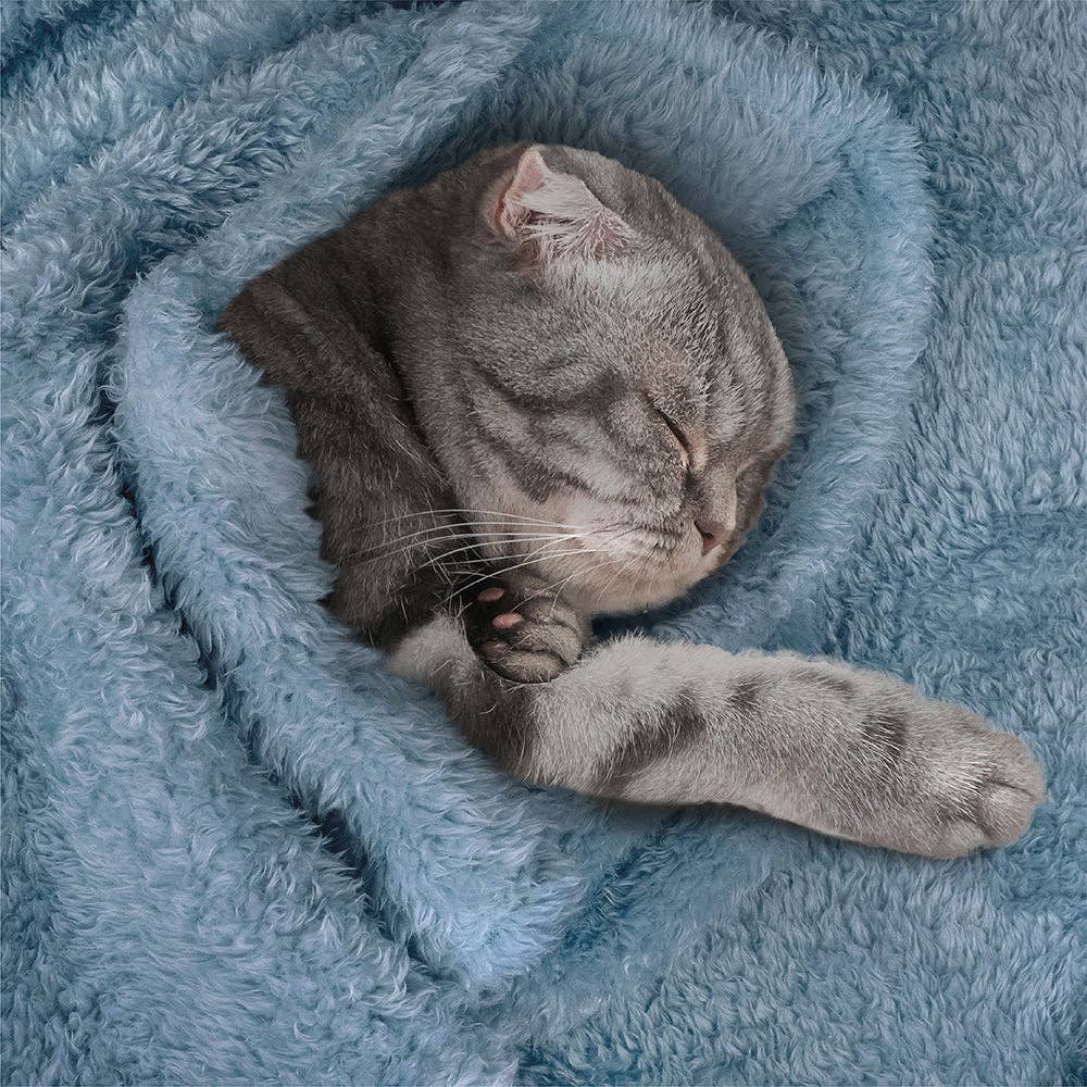 PetAmi - Wholesale Pet Blanket - Cat/Dog - Fluffy Pet Blanket60
