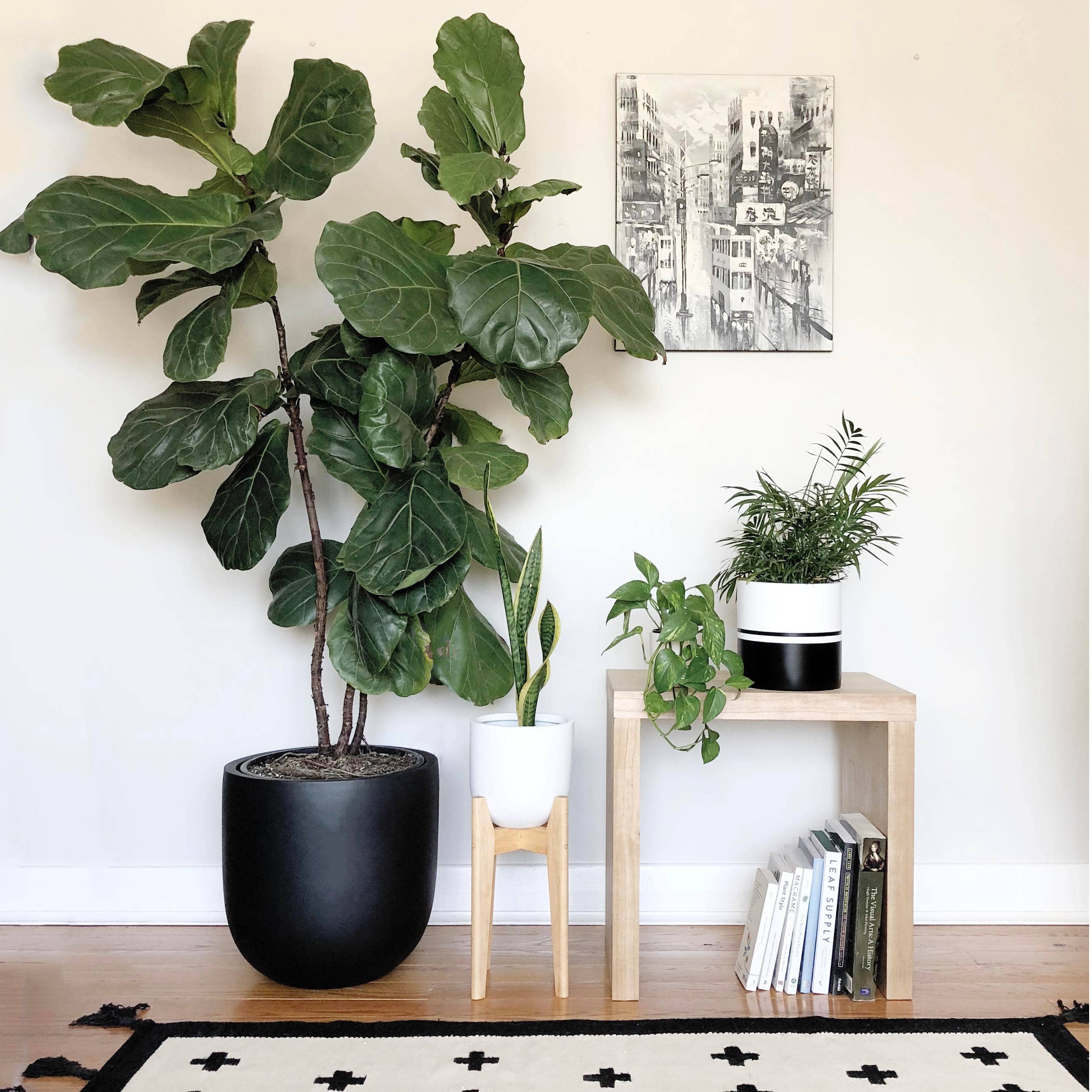 Common House Studio - Vendita all'ingrosso Vasi per piante - VASO ESSENZIALE | FIORIERA29