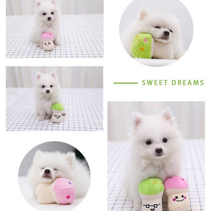 PAWPAWwholesale - Wholesale Pet Toy - Cat/Dog - Plush Mushroom Squeaky Toy for Dogs and Cats_CWMM109236