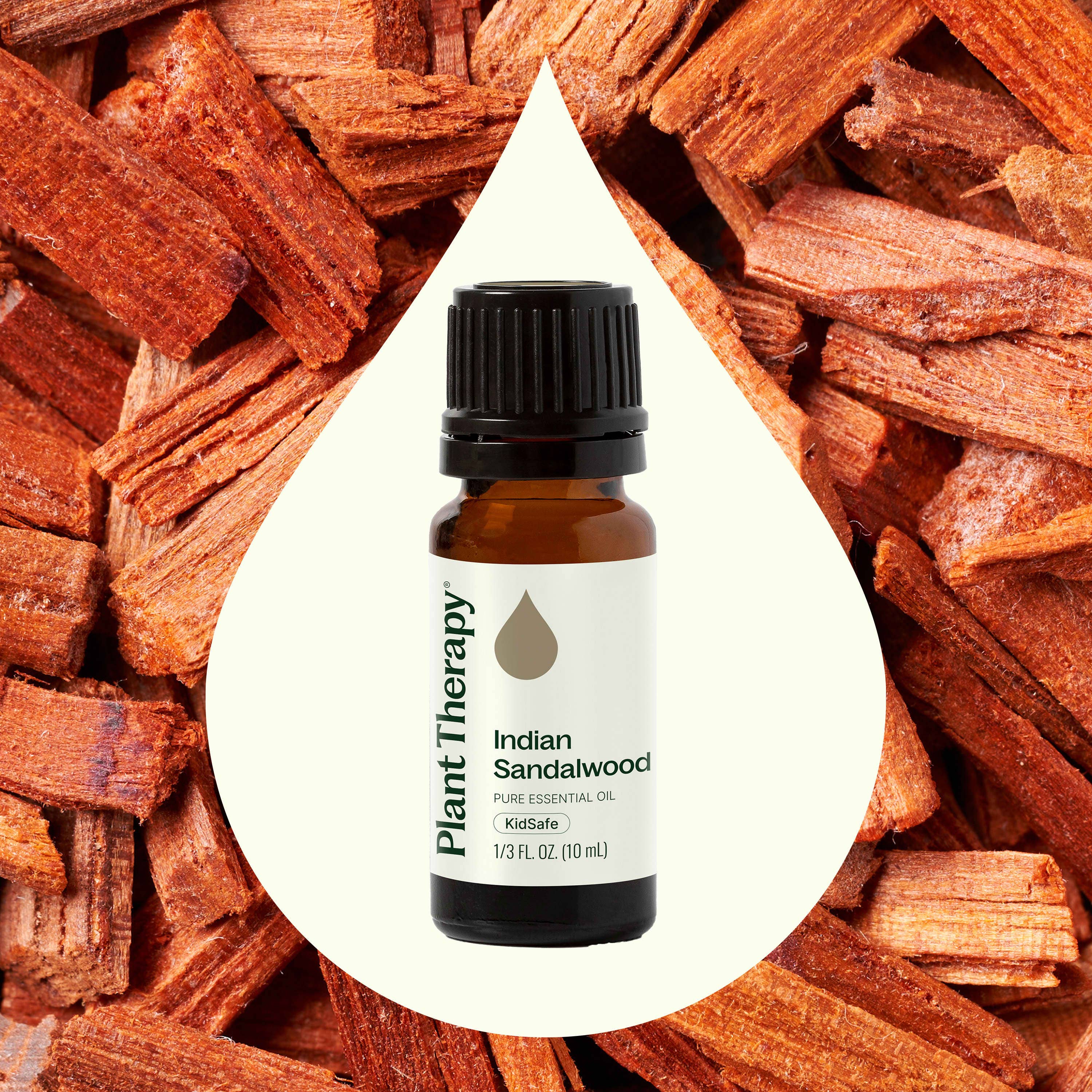 Plant Therapy – wholesale Essential oil – Indian Sandalwood Essential Oil 10 mL6