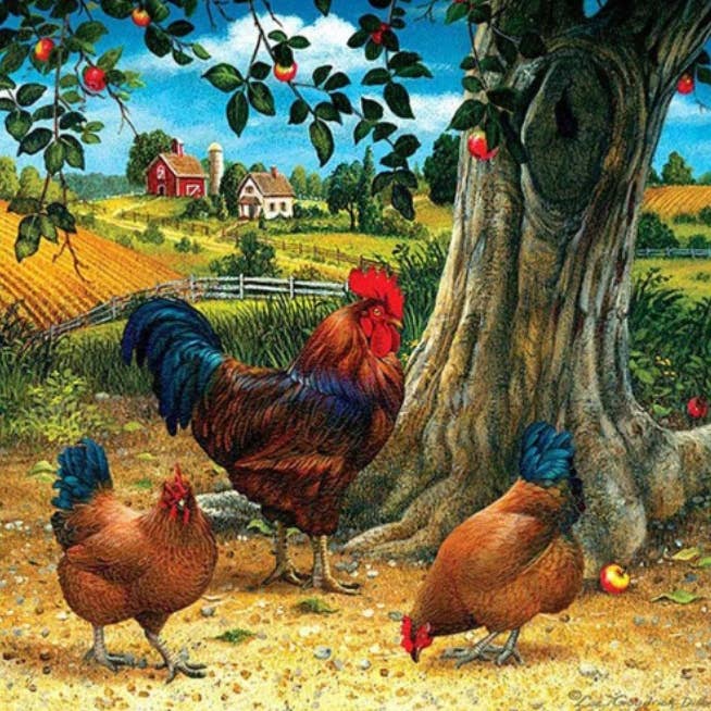 Tela de Pintura de Diamante R-F6.1 DP2545020 40x30cm por atacado de Menga Trading