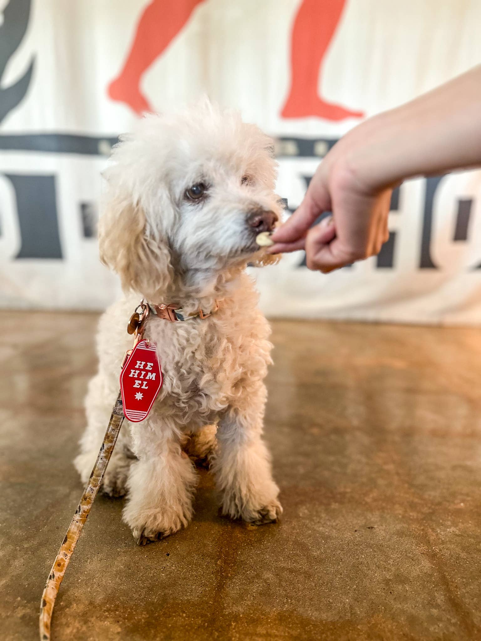 Bright Littles - Wholesale Keychain - Kids - He/Him/EL Keychain4