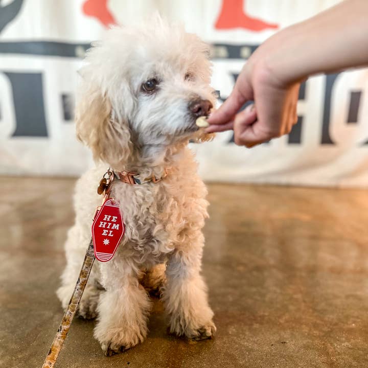 Bright Littles - Wholesale Keychain - Kids - He/Him/EL Keychain4