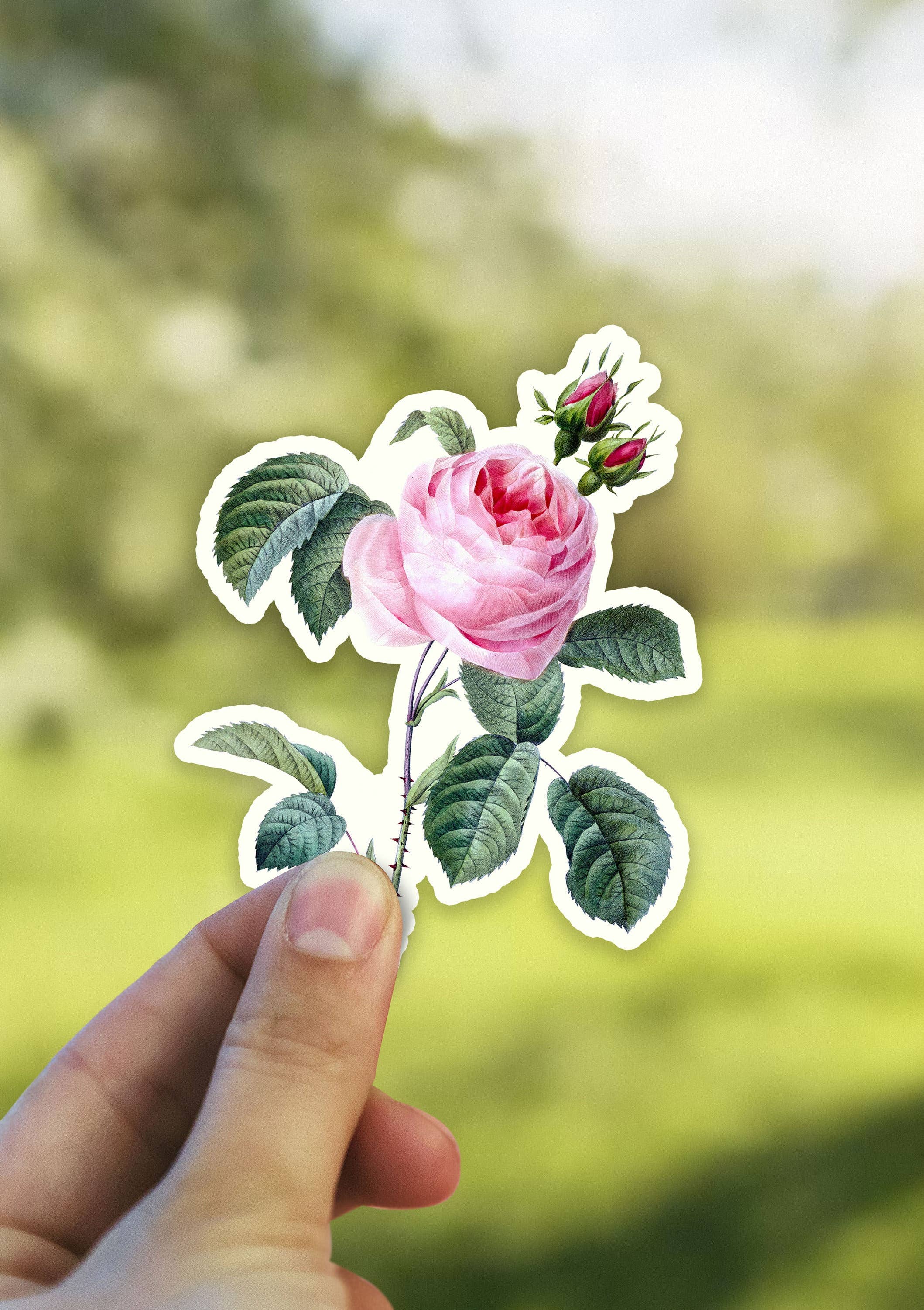 Heirloom Ink - Wholesale Sticker - Cabbage Rose Waterproof Vinyl Sticker