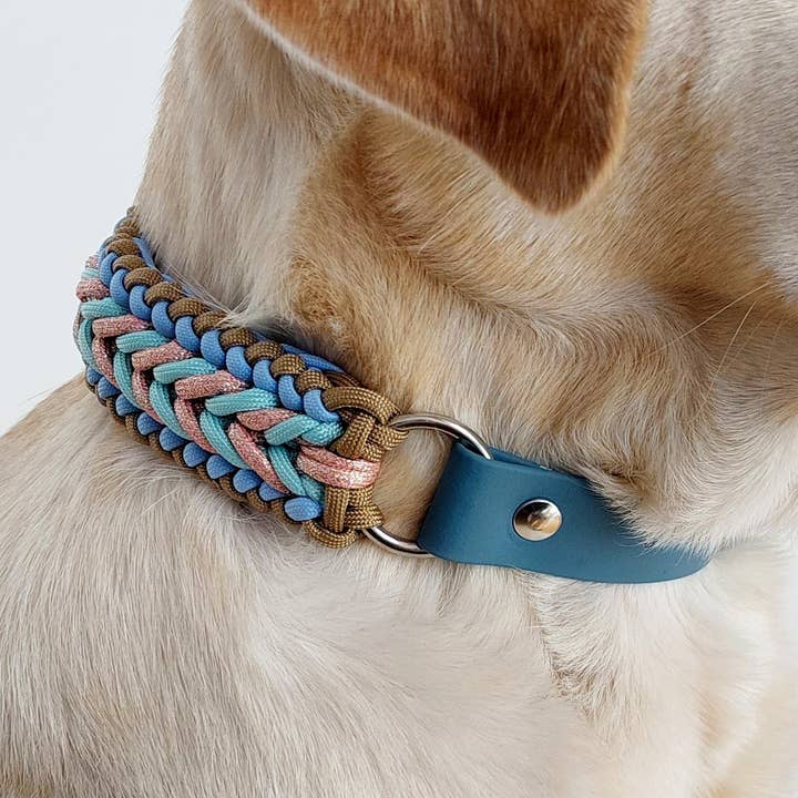 Braided dog collar - Biothane/Paracord - Sky blue for wholesale by Truffe & Flair