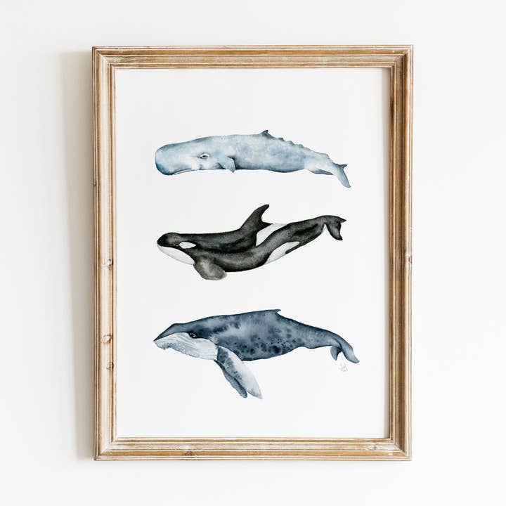 Sarah Jane Studio Art - Wholesale Art Print - Whales Watercolor Print