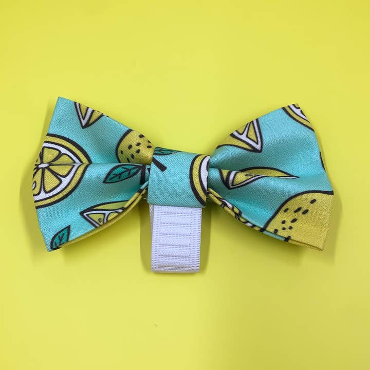 Noeud papillon au jus de citron pour la vente par Luca and B