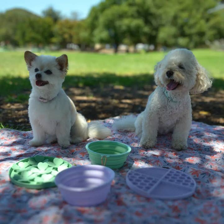 DOGUE - Wholesale Pet bowl – Cat/dog - DOGUE Slow Feeder Dog Puzzle6