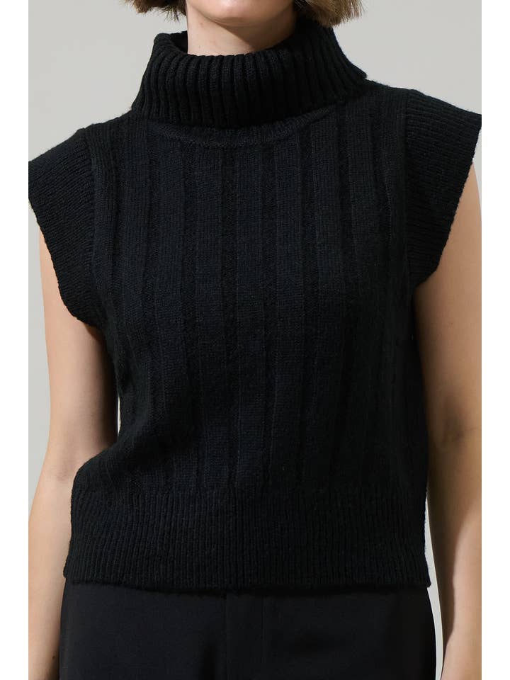 Sugarlips - Wholesale Knit Sweater - Women's - Anaya Turtle Neck Ribbed Sweater Top4