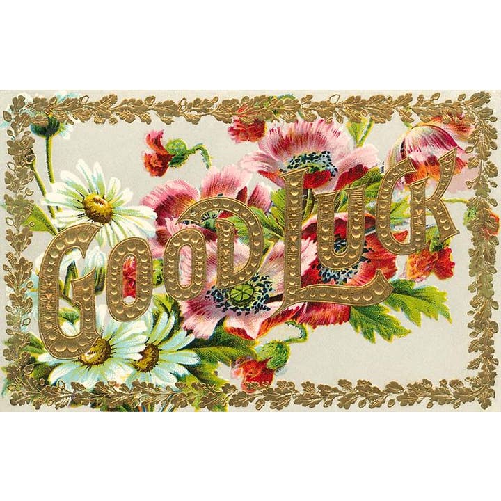 Postal LL-86 Boa Sorte por atacado de Found Image Press