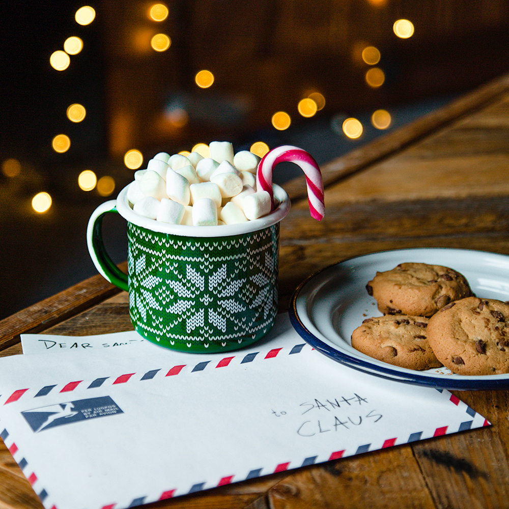 Emalco Enamelware - Wholesale Coffee Mug - 12 oz Green Enamel Coffee Mug | CHRISTMAS7