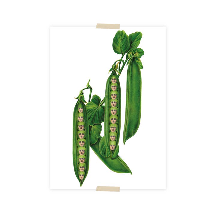 Lylies - Wholesale Postcard - Postcard collage peas