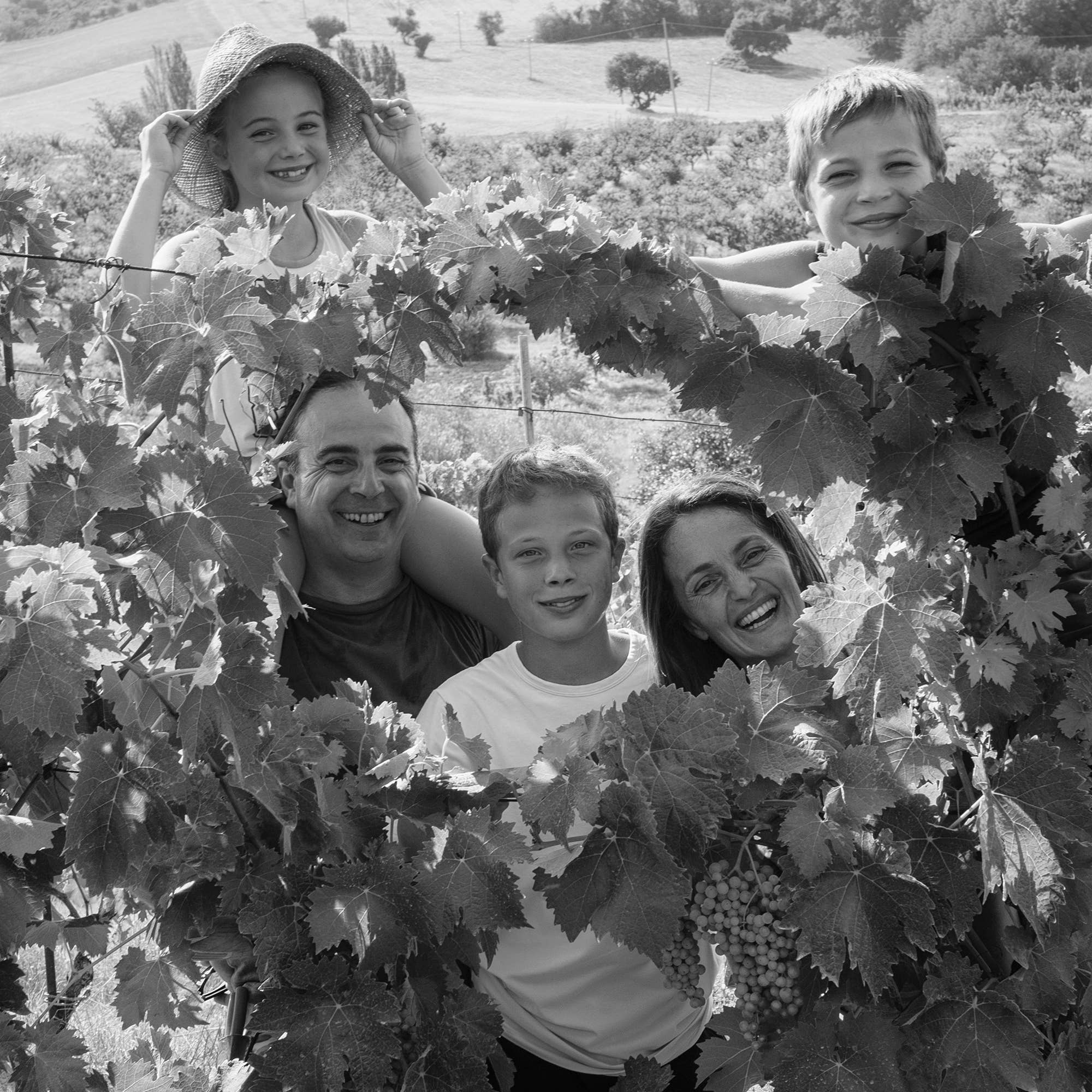 Casa Lucciola - Vente Vins blancs - Casa Lucciola Reserve 2020, Verdicchio di Matelica DOCG3