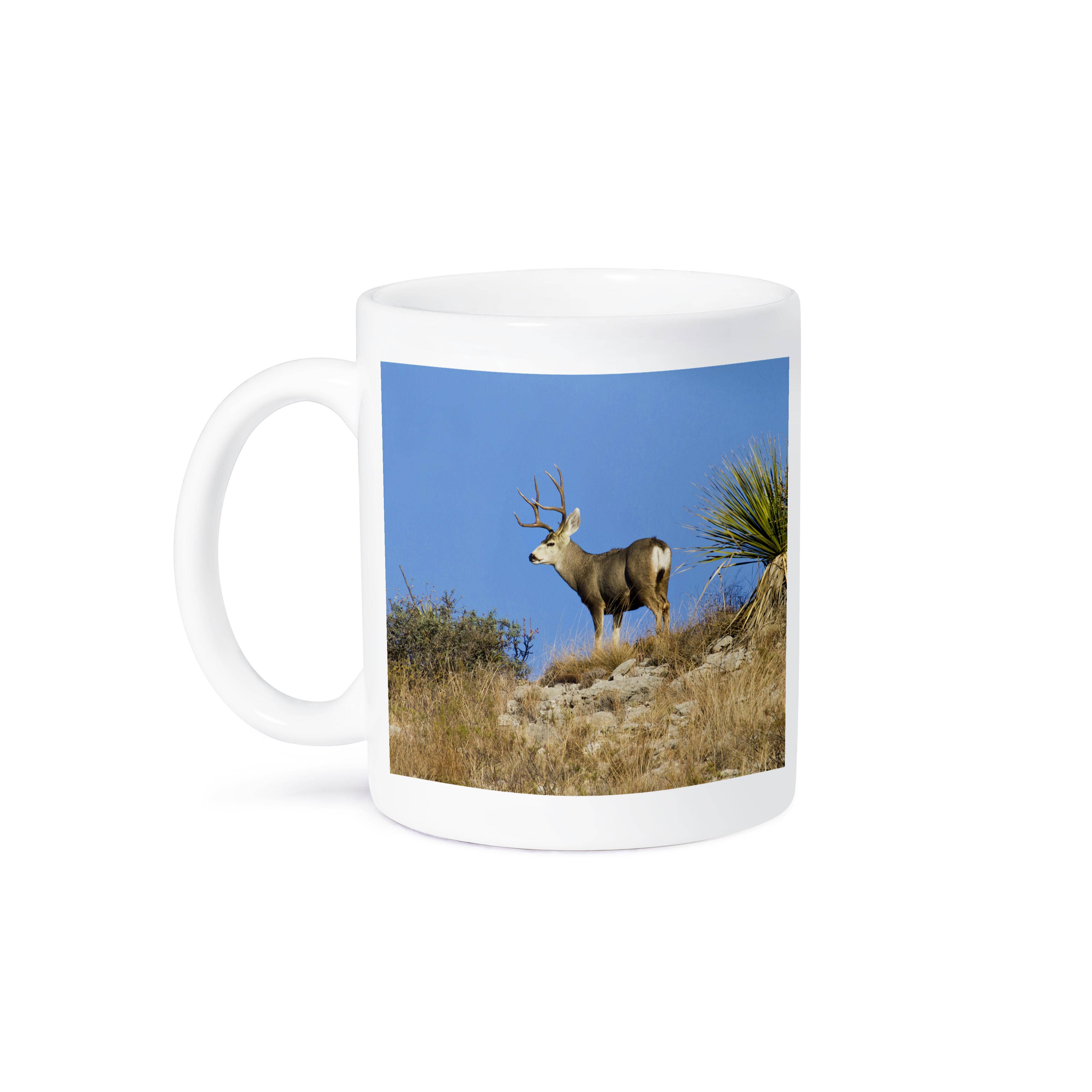 3dRose - Wholesale Coffee Mug - 3dRose, Desert Mule Deer buck in desert mountain habitat - US44 LDI0997 - Larry Ditto, Mug8