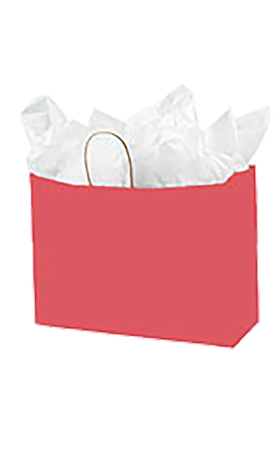 Store Supply Warehouse - Wholesale Gift Bag - Colorful Kraft Paper Shopping Bags19