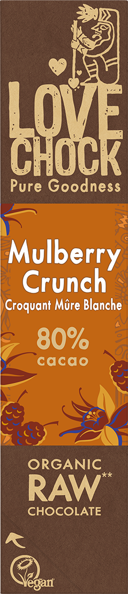 Lovechock NL - Wholesale Chocolate Bar - 80% chocolate with mulberries - Organic, raw, vegan and sustainable1