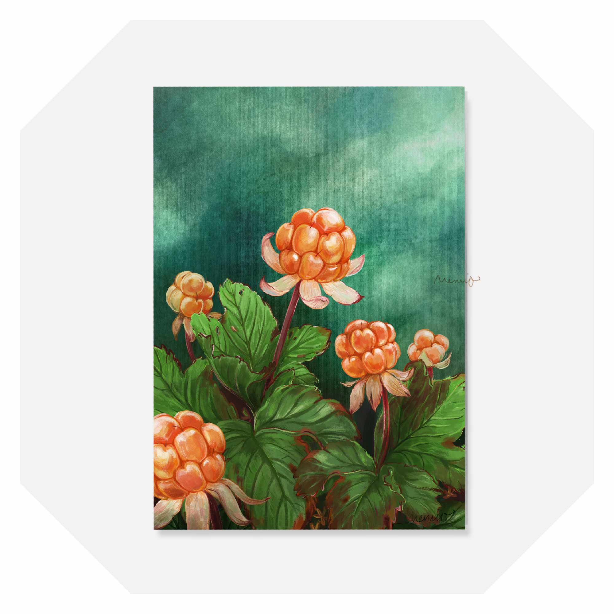 Memio Illustrated Designs - Wholesale Gewone wenskaart - A6 Multer / Cloudberries Kaart + lichtgouden envelop2