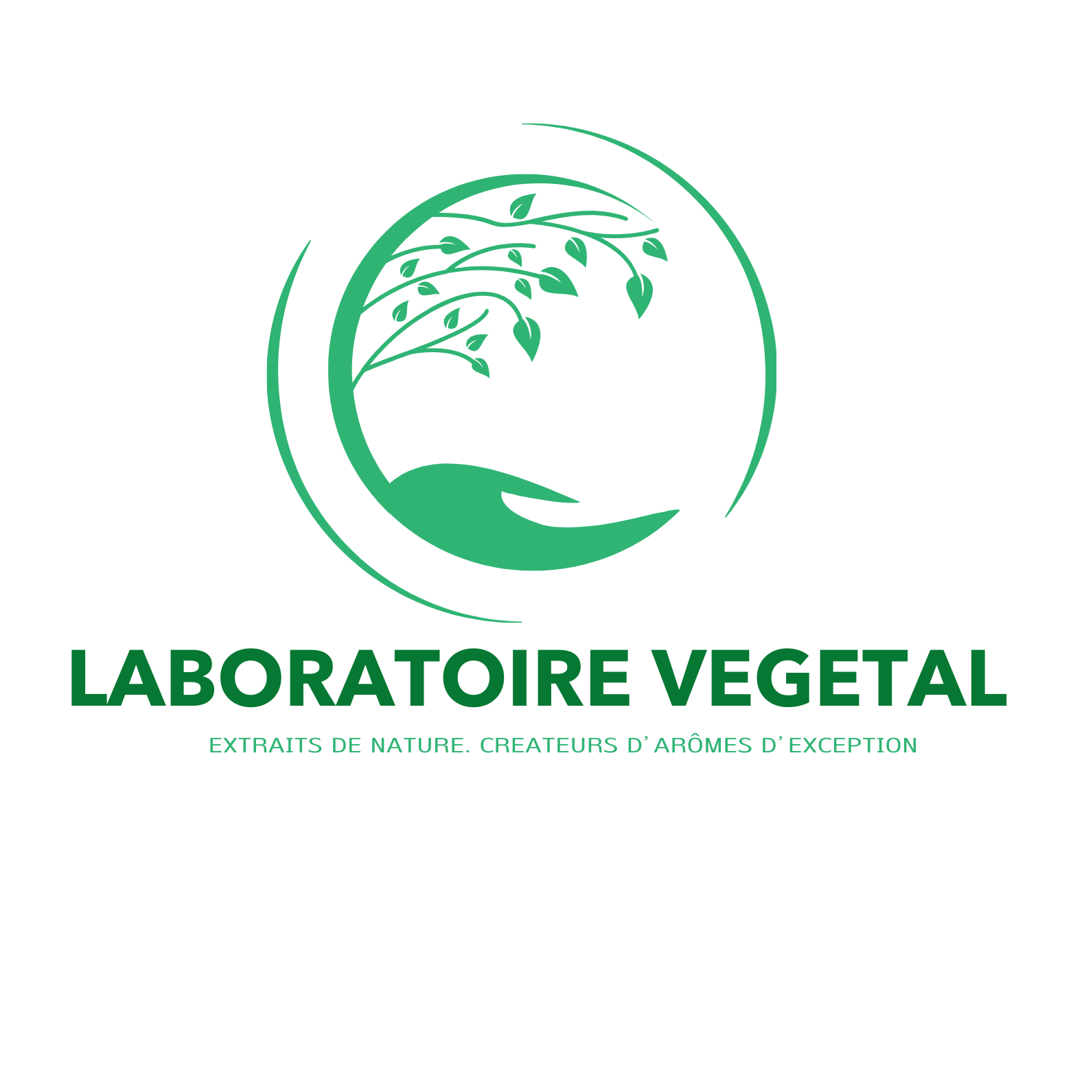 LABORATOIRE VEGETAL - Vendita all'ingrosso Estratti di frutta/alla vaniglia - Estratto di vaniglia del Madagascar professionale 30%1