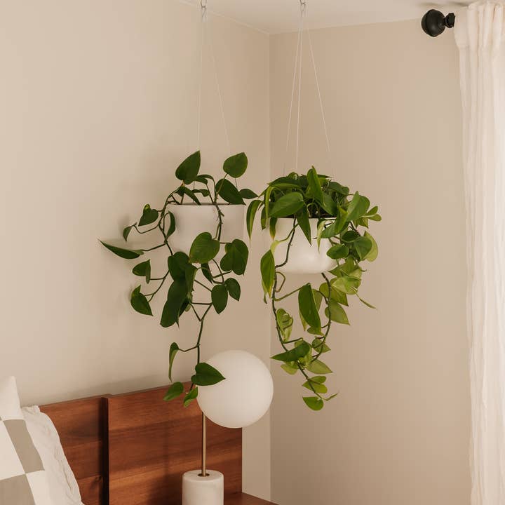 Hudson and Oak - Wholesale Hanging Planter - Hanging Planter