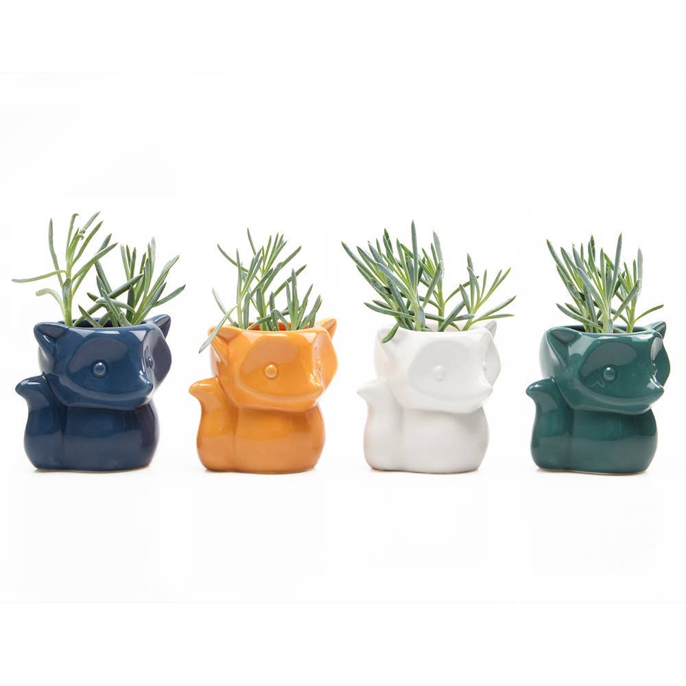 Chive UK - Wholesale Plant Pot - Fox - 3.5" Glazed Modern Ceramic Planter2