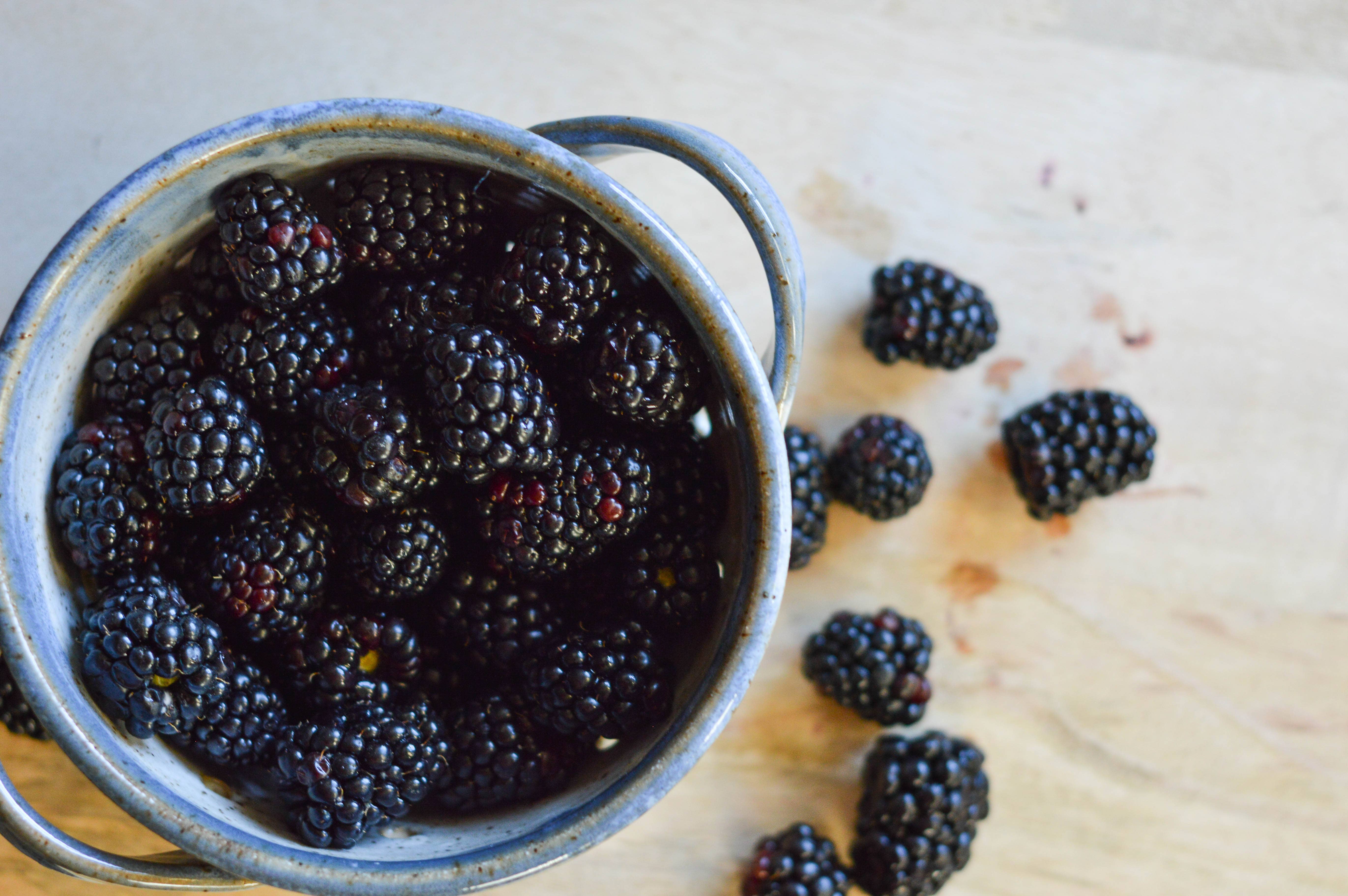 Mollie Jenkins Pottery - Wholesale Bowl - Berry Bowl13