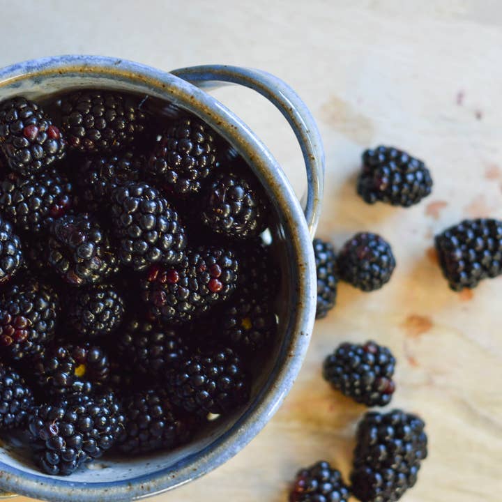 Mollie Jenkins Pottery - Wholesale Bowl - Berry Bowl13