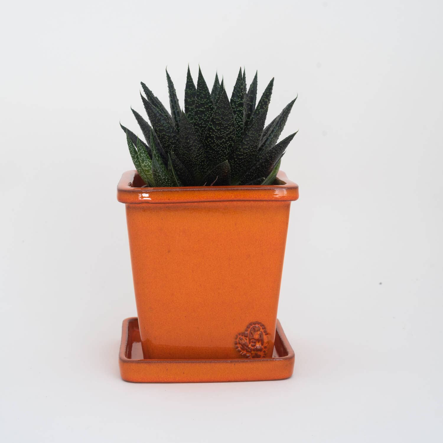 Vasos Quadrados by EM – Engroshandel Plantekrukke – Medium firkantet vase 14x14 cm - blank25