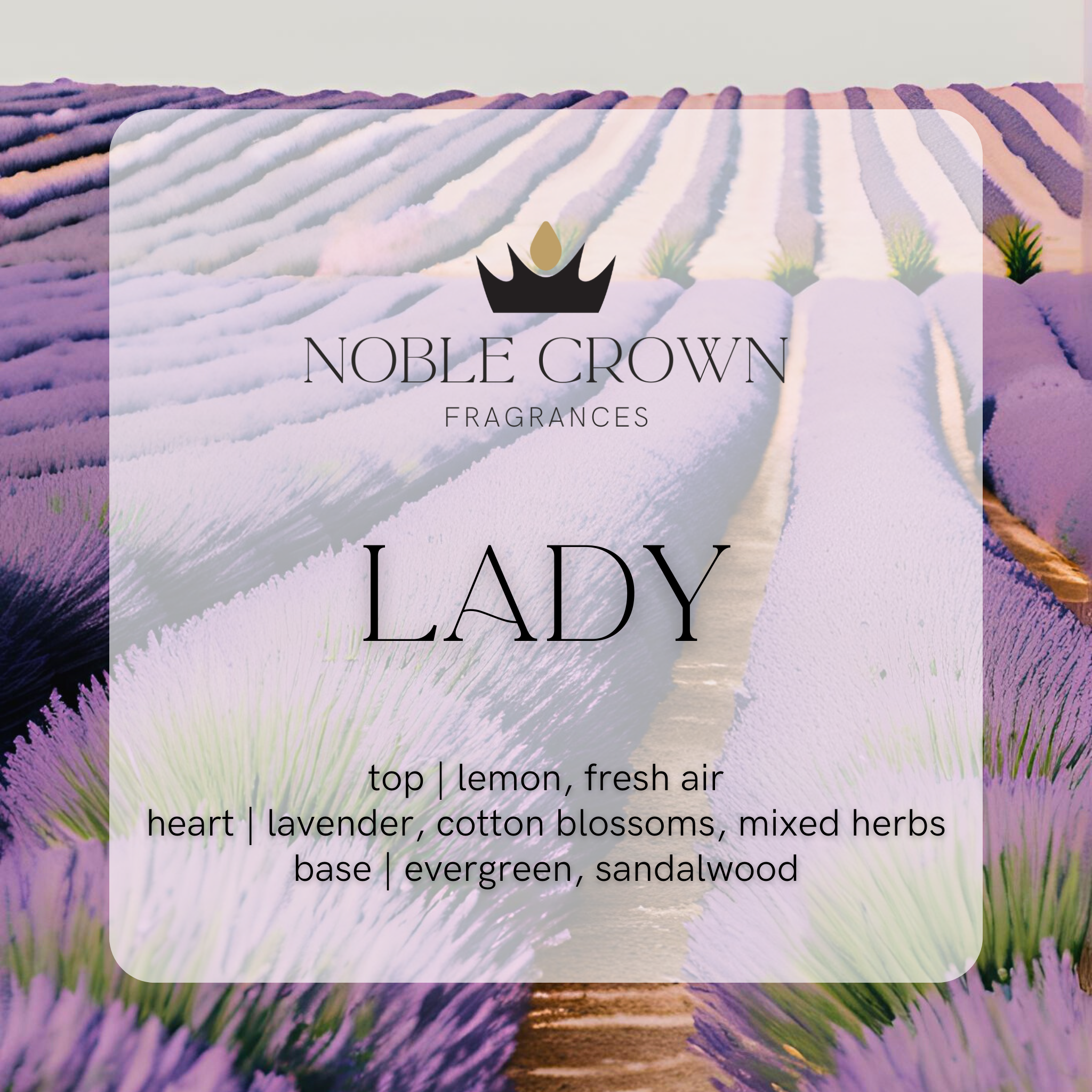 Noble Crown Fragrances - Wholesale Perfume/Eau de Toilette - Lady Perfume1