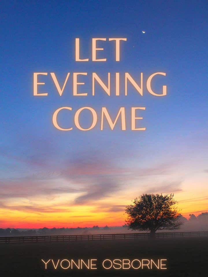Let Evening Come for wholesale by Unsolicited Press