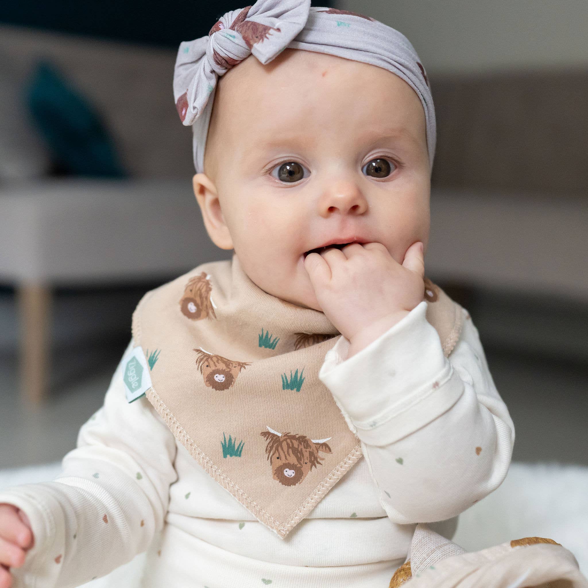 Ziggle Baby - Wholesale Bandana Bib - Highland Cow print bib6