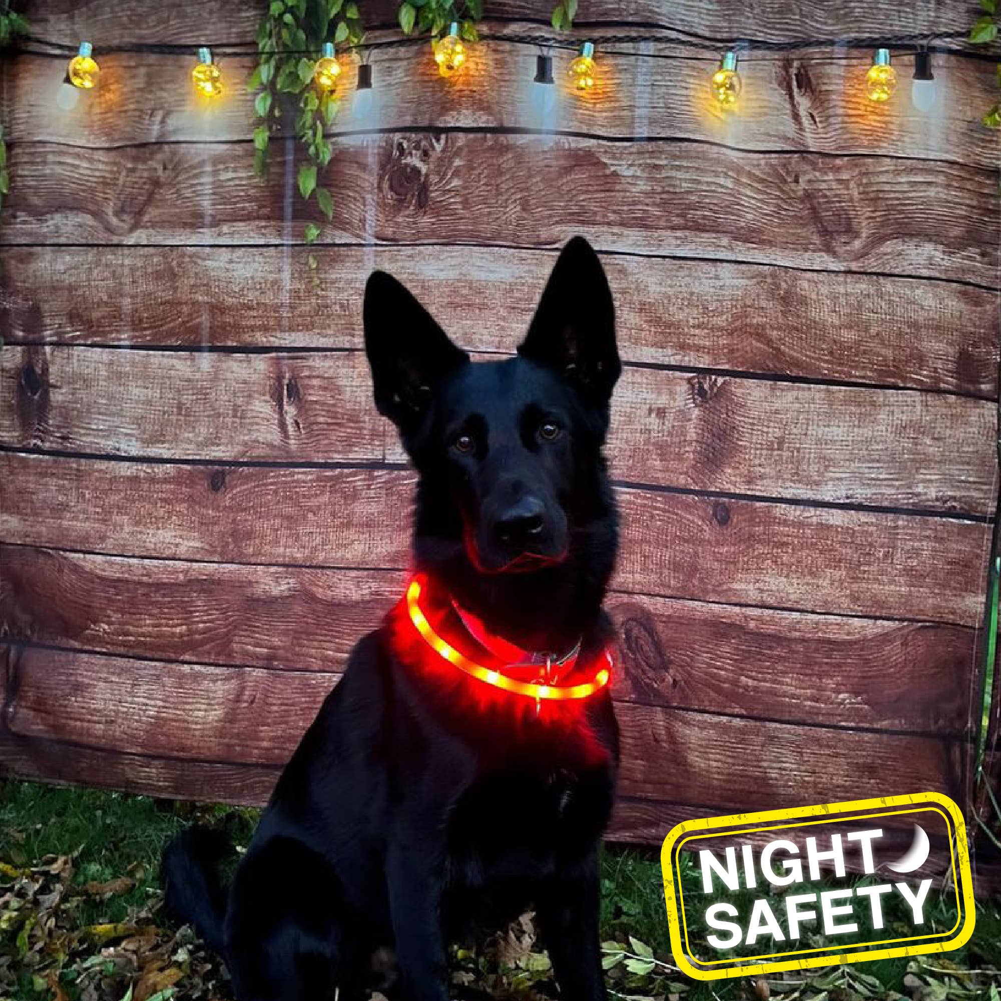 Ancol Pet Products Ltd – wholesale Pet collar – Dog – Rechargeable Flashing Band - 3 colours available2
