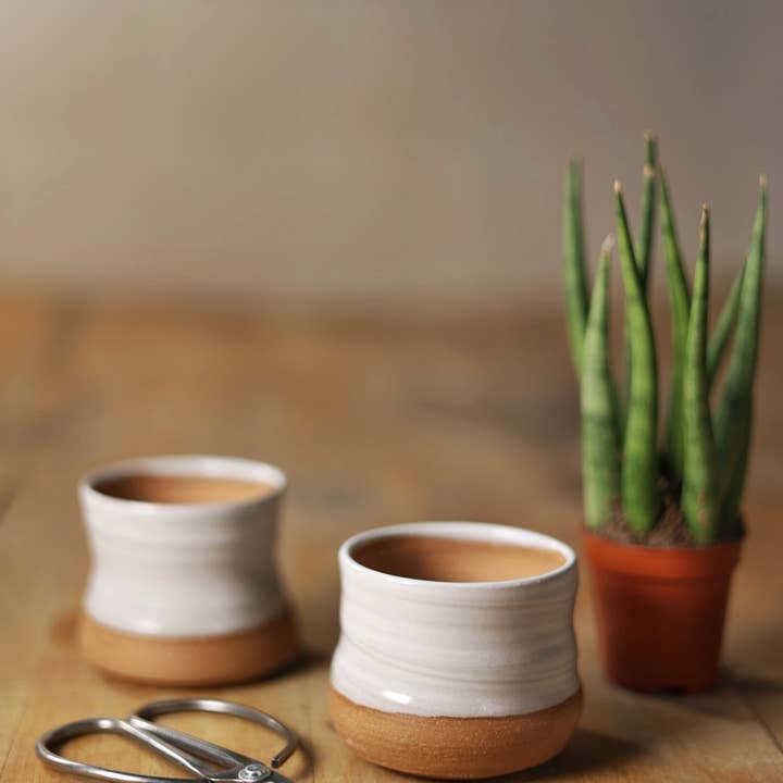 Gravesco Pottery - Wholesale Plant pot - Assorted Small Planter Pots | White 2 inch handmade9