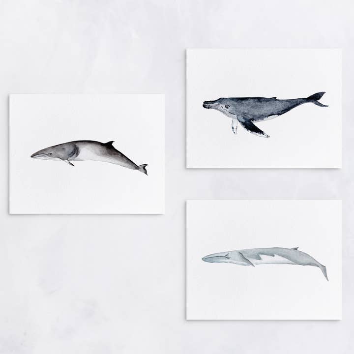 Whales of New England Greeting Cards for wholesale by Lexi Mayde