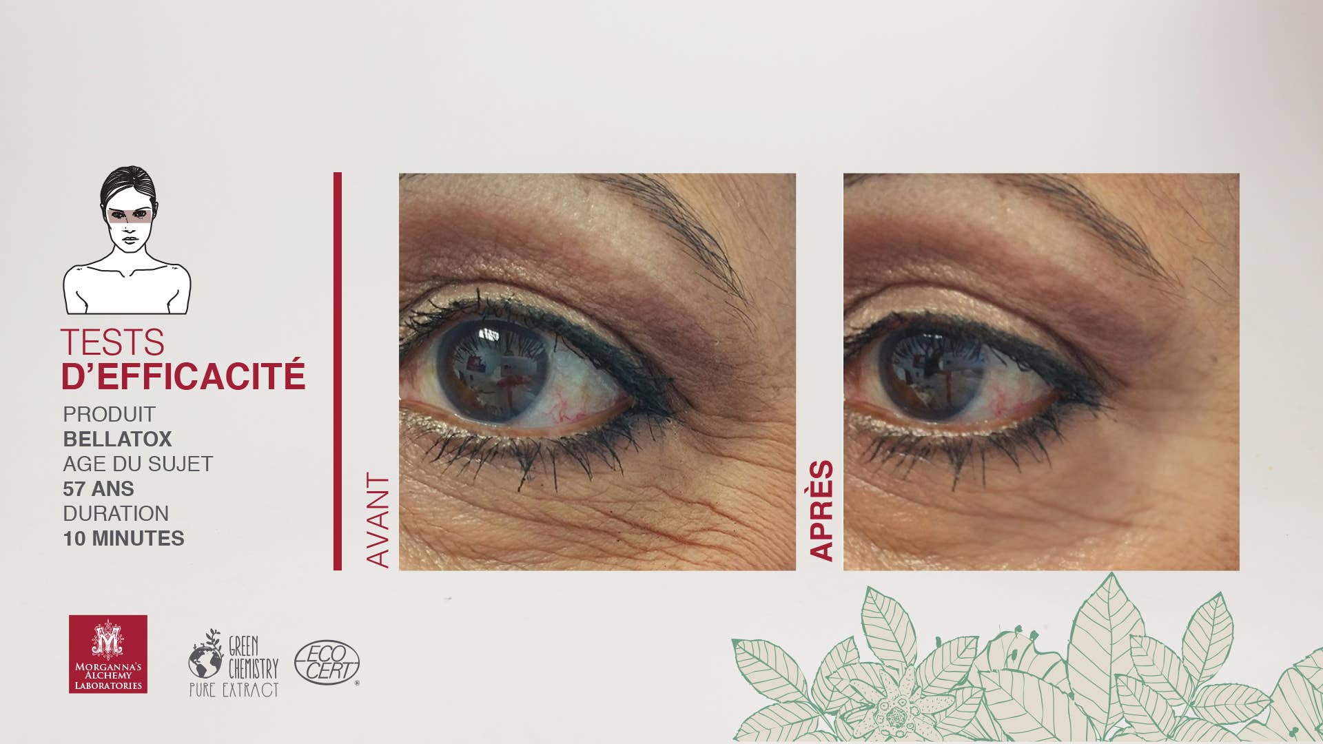 Morganna's Alchemy - Wholesale Anti-Aging Moisturizer - Morganna Bellatox with Paracress7