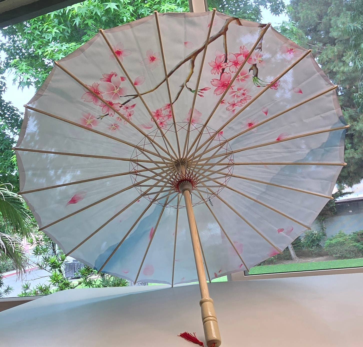 Fiona Accessories - Venta al por mayor Ventilador plegable de mano - Parasol de Flor de Cerezo Sakura 3 Estilos 21.50"11