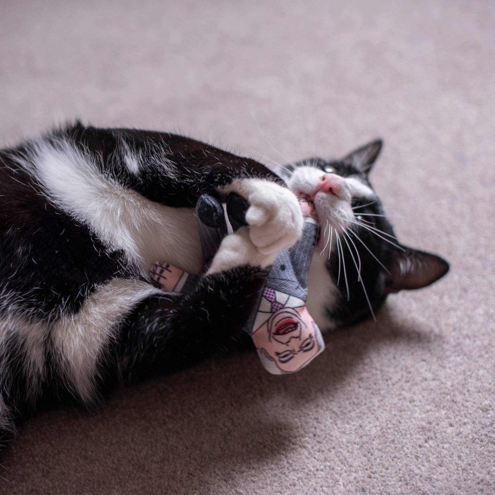 Pet Hates Toys – wholesale Pet toy – Cat – Nigel Farage cat toy1