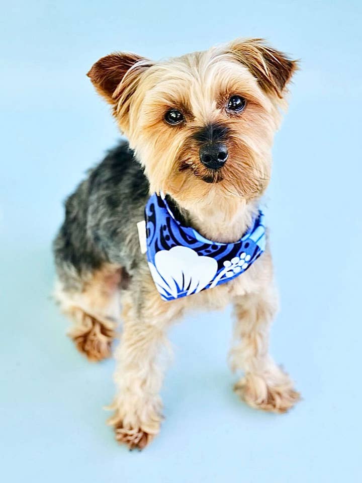 Uliuli (djupblå) Hawaiian Bandana från Stillahavsöarna för wholesale av Chow Fun Pet Co