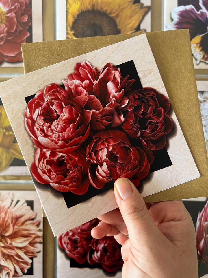 "Evanescent" Protea Wallflower Greeting Card for wholesale by Jenna Chartrand Coloured Pencil Fine Artist